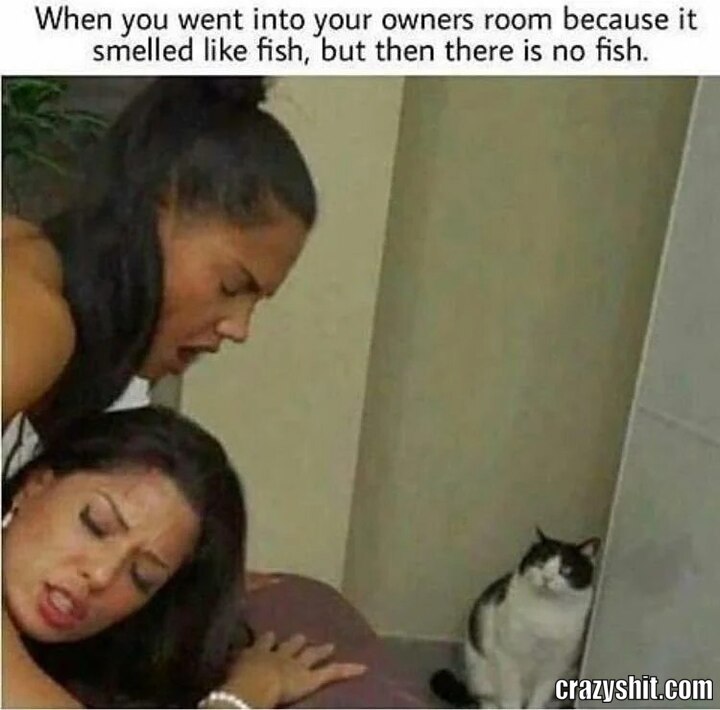 Fish Pussy