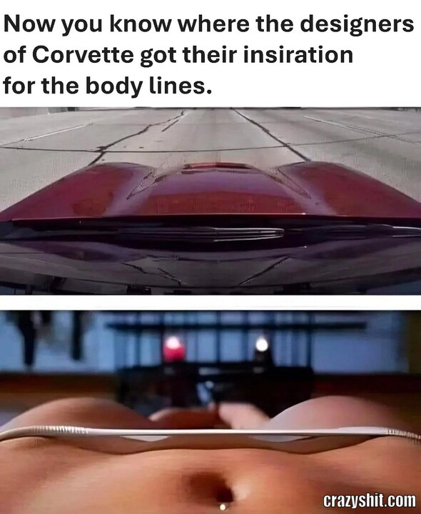Corvette Body