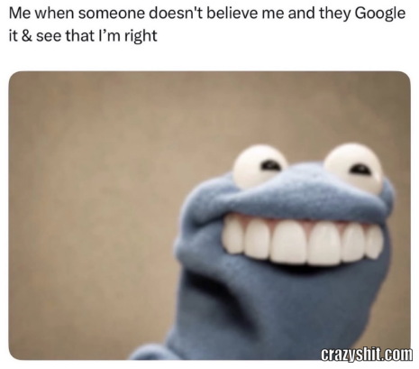 Google Proved Me Right