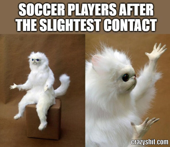 Soccer Professionals