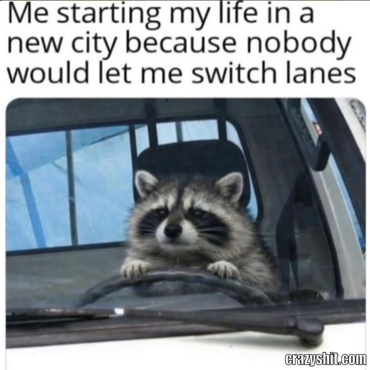 Accepting The New Life