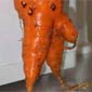 That's One Well Endowed Carrot