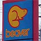 I Just Love Fresh Beaver