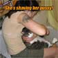 Look....She's Shaving Her Pussy