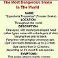 World's Most Dangerous Snake