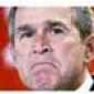The Many Faces Of Bush