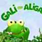 Meet Galli the Alligator