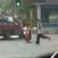 Pedestrian gets hit by Moped
