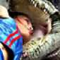 ladyboy sticks head in alligator mouth