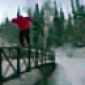 Skier falls off bridge