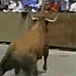 Don't bring a bandanna to a bullfight