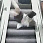 Lady flies down an escalator