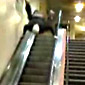 Love with an escalator