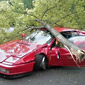 when ferraris and trees collide