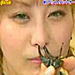 New japanese bug nose ring