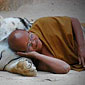 Sleeping tiger, soon to be dead monk