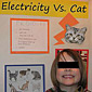 Cat vs electricity
