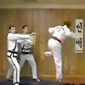 Karate Master Teaches a lesson