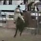 Mexican bull riding fatality