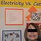 The cat vs Electricity Experiment [repost]
