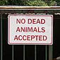 No Dead Animals Accepted! under no circumstances!