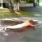 Drunk Russian Goes Skinny Dipping in Puddle