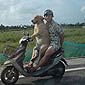 Doggy Scooter Love
