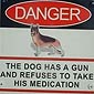 Dog Gun Danger
