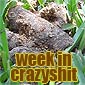 Week In Crazyshit: Zen Garden of Shit