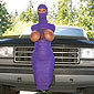 Check Out My New Hood Ornament