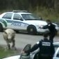 Hey Cow, You're Under Arrest!
