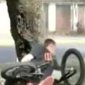 Bikes And Trees Don't Mix