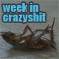 Week In Crazyshit: La Cucaracha