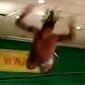 High Flying Wrestler Painful Fail