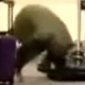 Drunk Faceplant At The Airport