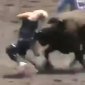 Bull Takes A Bitch Out