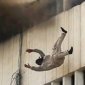 Jumping From A Building Fire