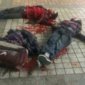 Mass Murder At Chinese Train Station