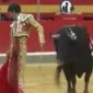 Don't Turn Your Back On A Bull