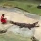 Even crocs like a little Thai