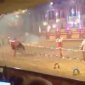 Horse Drags Performer To Death