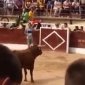 That Bull is Going to Get You