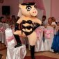 Miss Piggy Is A Stripper