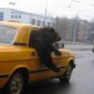 Bear Takes a Taxi