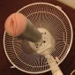 My fucking fan