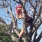 Asian Hooker In A Tree