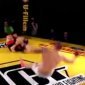 MMA Double Knock Outs