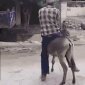 A Man & His Donkey