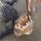 MrLongShot Pulls 13 Foot Gator Out Of Beach