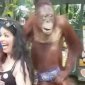 Orangutan Gropes The Hell Out Of A Woman